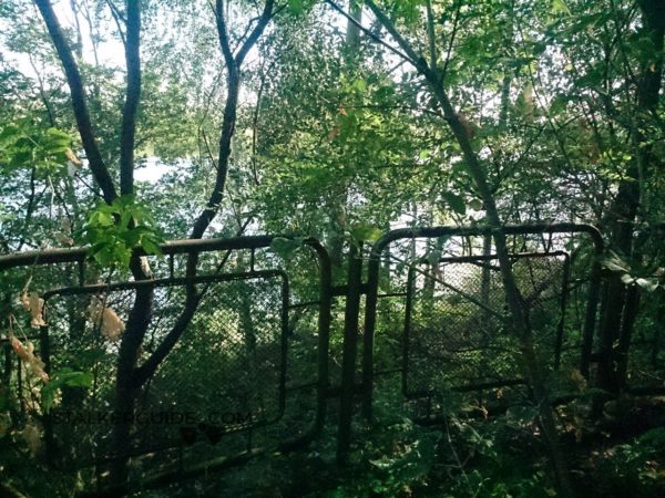 Речной порт и кафе припять причал