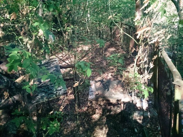 Речной порт и кафе припять причал